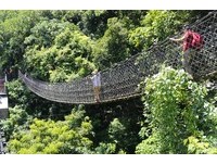 太魯閣小錐麓步道「繩索吊橋」　超窄橋身宛如空中走鋼索