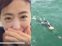 超強！賈永婕泳渡英吉利海峽　台灣第一隊成功激動到哭