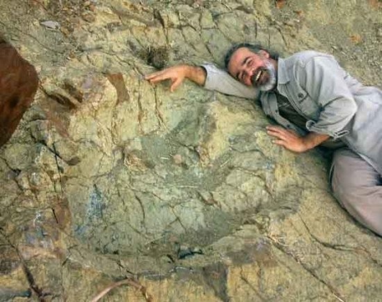 南美最大恐龍腳印被尋獲！ 拓印時間為8千萬年前 | 文章內置圖片