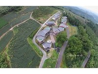雲林最美小學海拔800米　茶園中校舍建出「台灣地圖」