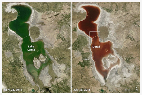 湖水竟成血紅色！ 伊朗爾米亞湖逐年變乾 | 文章內置圖片