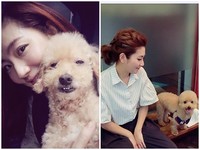 Selina忍住打針恐懼　喊話愛犬「為了妳，再怕都不怕」