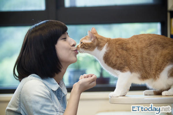 啾!「豆<em>香妹</em>」吴迦乐粉嫩可爱 「交际猫」强夺