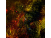 天鵝座OB2星團　天文學家眼中的恆星搖籃