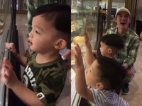 飛飛會說話了！　看見蛋糕…貼窗拍打狂喊「好想吃」