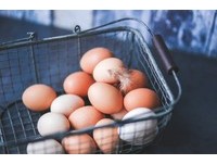 土雞蛋比白蛋營養？　「7大食物迷思」大家都搞錯了