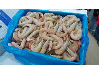 白蝦過期11年還在賣！　7千公斤黑心海鮮銷南台灣