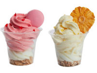 酷聖石7種水果優格冰淇淋　雙十連假200杯免費請你吃