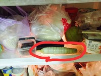 姊姊冰箱放了一根「奇怪棒狀物」　女網友神解答長知識了！
