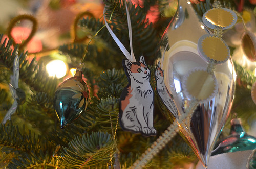 四小猫在圣诞树下集体捣蛋大猫现身管教