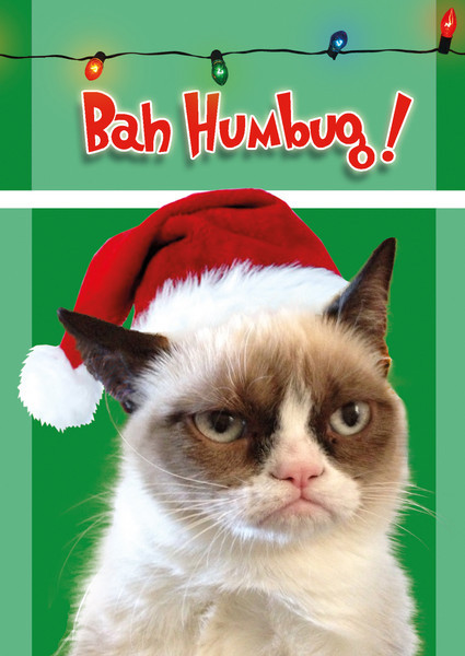怨气最重的圣诞卡 「脾气暴躁的猫」扮臭脸耶