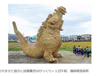 日本打造7公尺高「哥吉拉」稻草人　矗立田中央好魄力