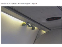 飛機上真的有蛇！乘客抬頭驚見150公分大蛇　機長緊急降落