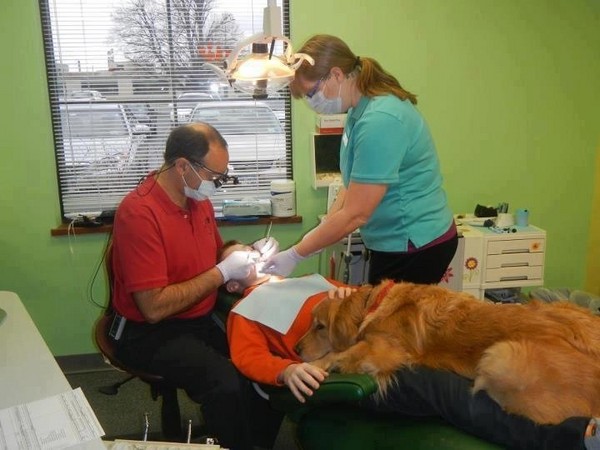 牙医诊所聘请「狗医生」陪著看牙 稳定孩子们