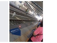 快訊／豐原站一女突從月台跳下軌道　區間車急煞差點撞上！
