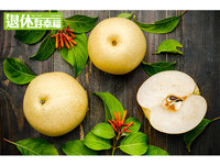 乾咳、燥熱、精神不濟嗎?2食譜、4穴位 對抗秋老虎!