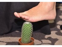 糖尿病引發「周邊神經痛」恐截肢 3項指標助判斷