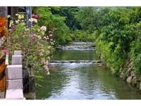 夏日戲水觀魚、秋季賞落羽松　南港的綠樹清流四分溪