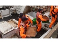 台漁船私運食蛇龜銷大陸　海巡緝獲1149隻保育動物
