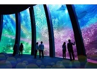 讓桃園更好玩！日本「橫濱八景島」來台開4500坪水族館