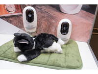 餵食、監控一把抓！宏碁Pawbo+寵物互動攝影機動手玩