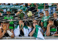 空難足球隊獲南美盃冠軍 主席:重建後明年再來