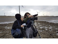 自己的藻礁自己救 觀音人為心愛藻礁打一場聖戰