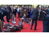 爭取影視產業男女平等　抗議者扮香腸大鬧澳洲電影獎