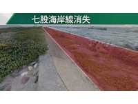 台灣變瘦了！七股海岸線逐年消失　國聖港燈塔內移3次