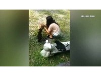 網路募款狗丟山區?臭豆腐老闆制止 她還嗆沒愛心拒買