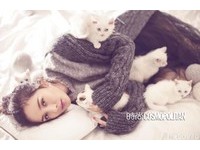 楊冪時尚登封甘心做貓奴 喵星人爬滿身網友羨慕死啦!