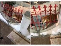 一顆頭放水泥柱上…這隻「夜市的戲精」超轟動 根本網紅