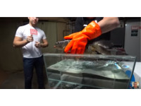 -196度急凍活魚再放溫水 網紅「冬眠復活」實驗挨批殘忍