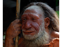 史前人類尼安德塔人是「食人族」？　骨骸有切割取髓跡象