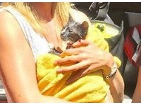 超險！主人驚見貓咪在運轉的洗衣機「隔著泡沫望著我」