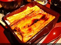 台北新開幕日式料理店　吃得到淡雅爽口的香燒星鰻
