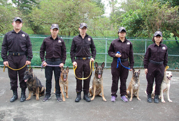 (图/翻摄自「新北市政府警察局 警犬队 ntpd k-9 unit」脸书,下同)