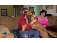 領養遭拋棄的「珠珠」　新主人道出背後心碎故事