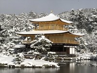 京都急凍再現「完美雪金閣」　大雪中完美如遺世的孤立