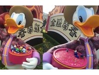 上海迪士尼唐老鴨哭哭！缺德客偷「糖」　網：為中國悲哀
