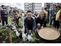 竹市食物森林採收　法國志工示範做酵素