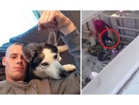 施暴男瞄準哈士奇頭狠踹…狗爸爸嚇跑、狗寶寶淒厲慘叫