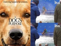 湍流中的狼犬調出全見片段！製片公開「看不見的真相」