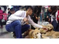 平時與毛小孩視訊 他們都是陳偉殷心靈的解藥