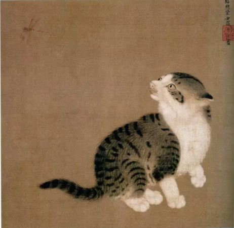 古代猫奴比现代称职多了! 文人「聘猫」还要聘礼才行