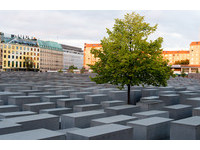 「柏林大屠殺紀念館是恥辱」　德國極右政治明星引發抨擊
