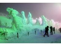 零下10℃的浪漫！日本「藏王樹冰點燈」看數千雪怪跳舞