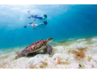 此生必訪夢幻清單　馬爾地夫與海龜共舞、斯里蘭卡叢林探險　