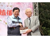日本育櫻會來台種植櫻花樹8年　成就「台日深厚友誼」