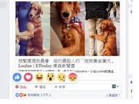 Facebook「大心」符號榮登全球用戶最愛